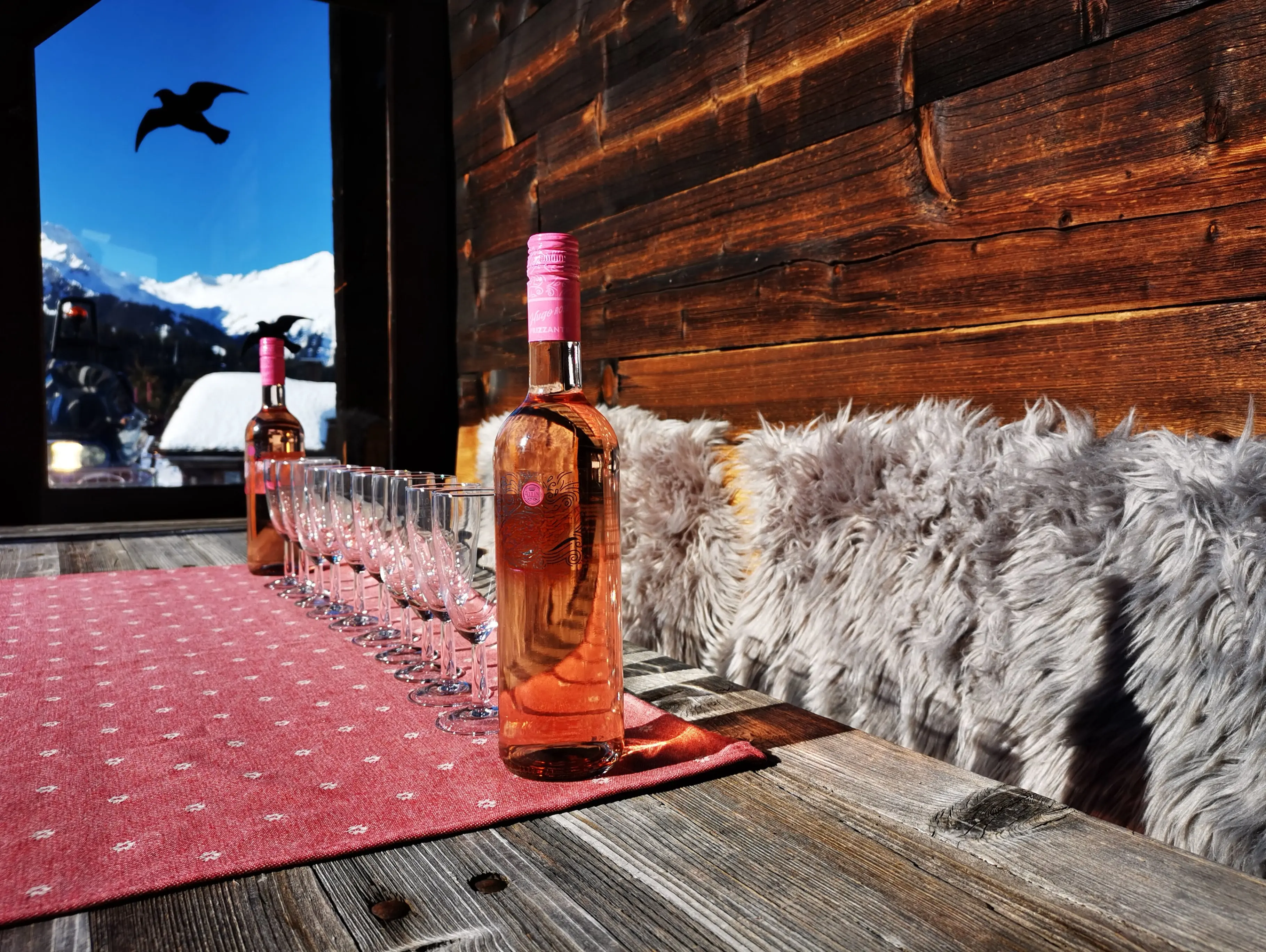 Casa Christine Garfrescha, Urlaub mit Hund